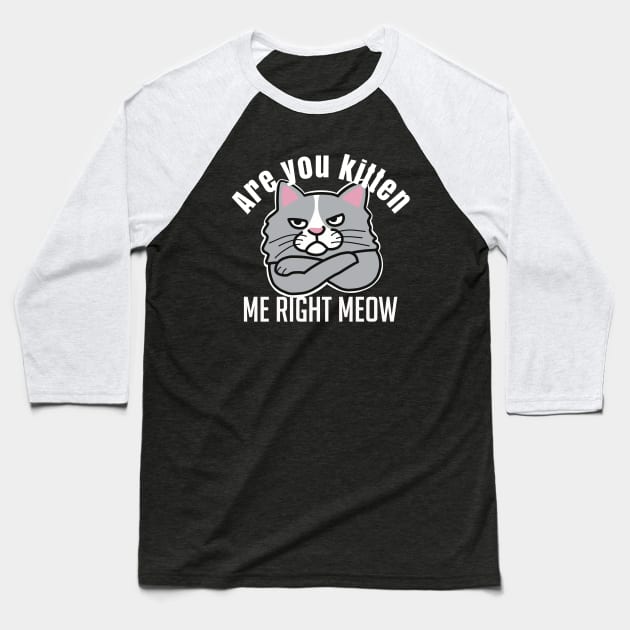 Are You Kitten Me Right Meow Baseball T-Shirt by Punful